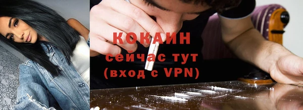 стафф Бородино