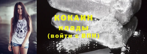 спиды Богородск