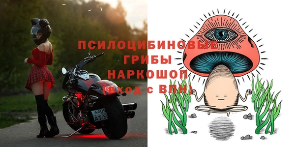 спиды Богородск